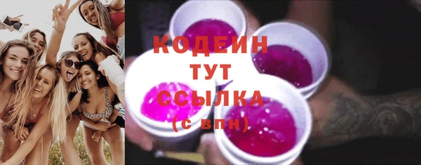 дмт Гусев