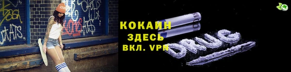 дмт Гусев