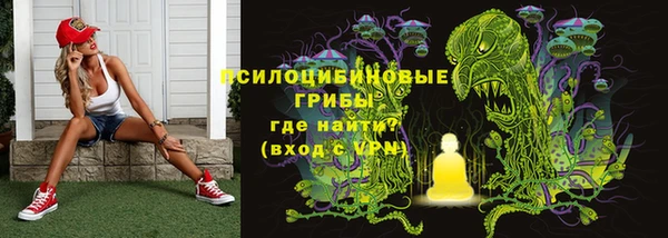 дмт Гусев