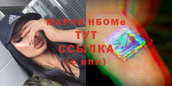 дмт Гусев