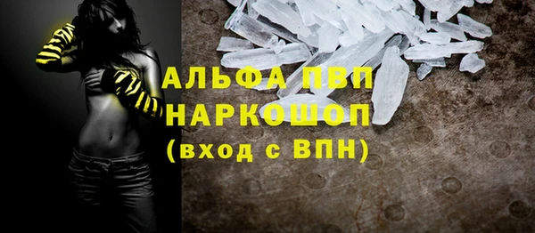 прущие грибы Горнозаводск